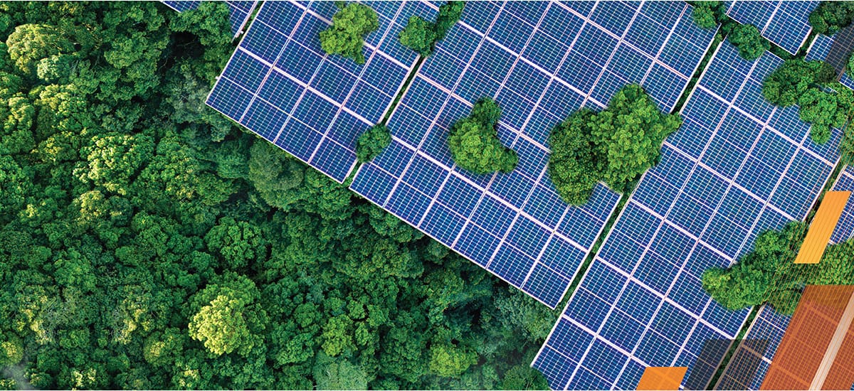 Overview shot of a solar panel farm with tress beside the solar panel farm.